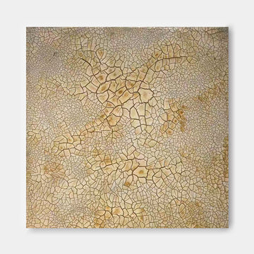 a square canvas with a textured, cracked surface in various shades of brown and beige.